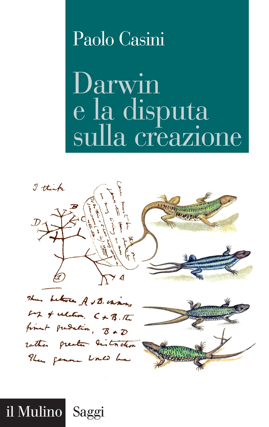 Copertina del libro Darwin e la disputa sulla creazione
